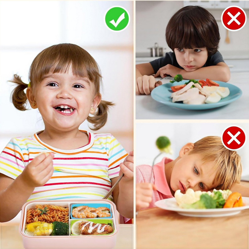 แผ่นกั้นกล่องอาหารกลางวันซิลิโ - Bento Box บทวิจารณ์และราคา
